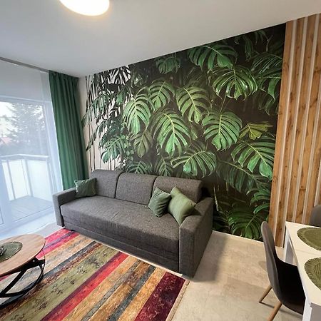 Apartament Zacisze 13 피아세츠노 외부 사진